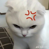tg cutii :vv