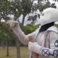 alpha
