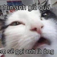 T/G ngu ngơ:))))