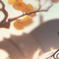 Nv tổng hộp
