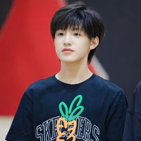 Trương trạch vũ