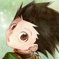 Gon Freecss