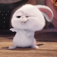 chủ tuss 🙋💞