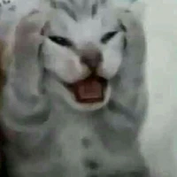 50 lùn :))