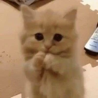 ？？？
