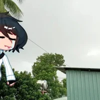 t/g