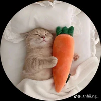 con t/g đi ngủ rồi 💤