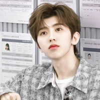 Hàn Nhật Minh (anh trai nữ9)