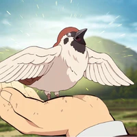 Chuntaro