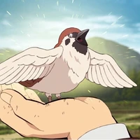 Chuntaro