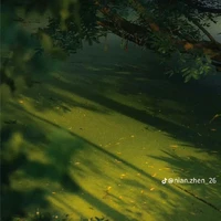 Ocean