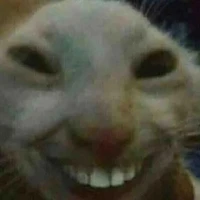 Hehe!