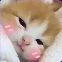 Tác giả