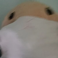 Em