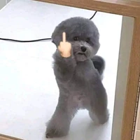 Tác giả