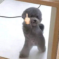 Tác giả