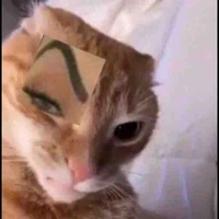 Cả lớp
