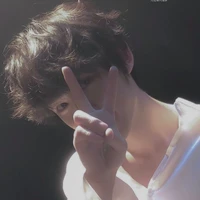 Đinh Trình Hâm ( em )