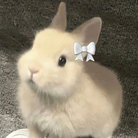 Y/n