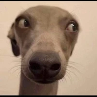 tg..... nhìu anti 0∆0