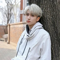 Nghiêm Hạo Tường