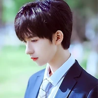Hạ Tuấn Lâm