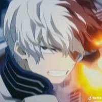 Todoroki shoto