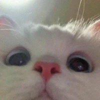 TG