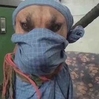 Coan tác giả/Su