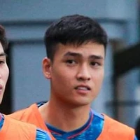 bùi hoàng việt anh