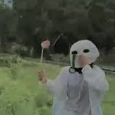 Yến _alpha_