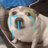 Cát xê 60 tỏi