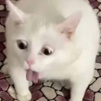 all ( trừ những người cần trừ )