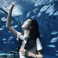 Hề Tựu Yến ( Waseyin )