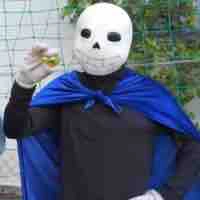 King sans 