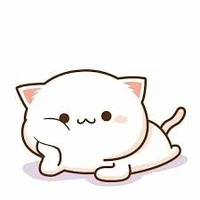 mèo con(aki)