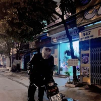 Việt Dũng