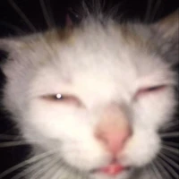 Tg