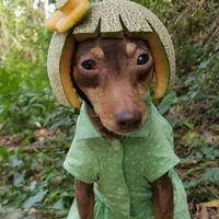 tác giả đz nhất thế giới