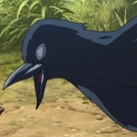 Quạ ( Animals)