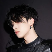 Nghiêm Hạo Tường ( Nghiêm Tổng)