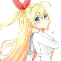 monkey d sara