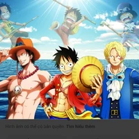 anh em luffy