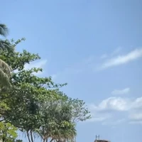 các bạn fan