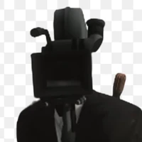 large cameraman/havan