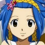 levy