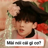 coan t.giả