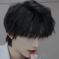 Đinh Trình Hâm