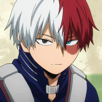 Todoroki Shoto (Shoto)