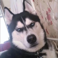 Tiên Môn Bách Gia[Hãm l.o.l=))]
